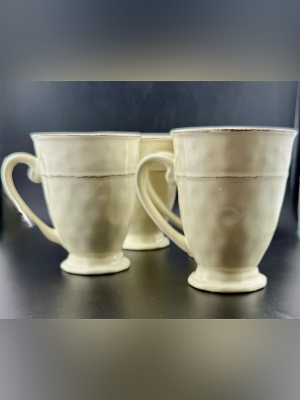 4 Pier 1 Martillo Creme Brulee 14oz Mugs.